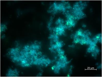 Testing Laser-Structured Antimicrobial Surfaces Under Space Conditions: The Design of the ISS Experiment BIOFILMS